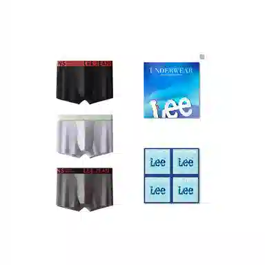 Lee 3