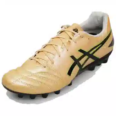 Asics DS LIGHT PRO AG