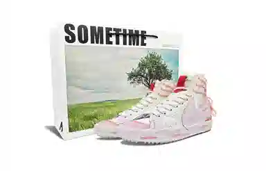 Nike Blazer 2.0