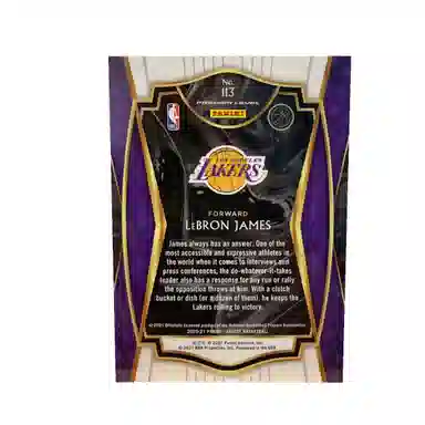 PANINI 2020-21 SELECT