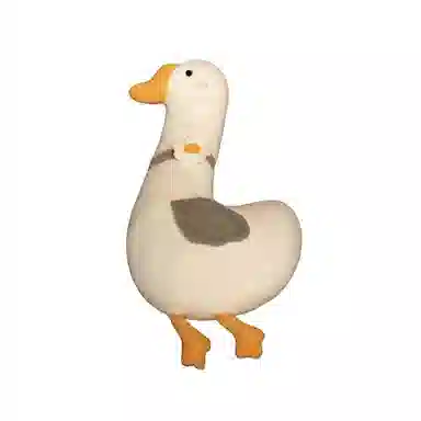 AECELI 70cm100cm130cm