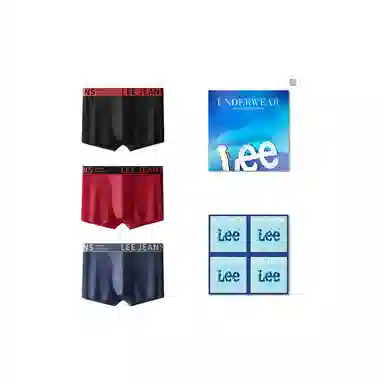 Lee 3