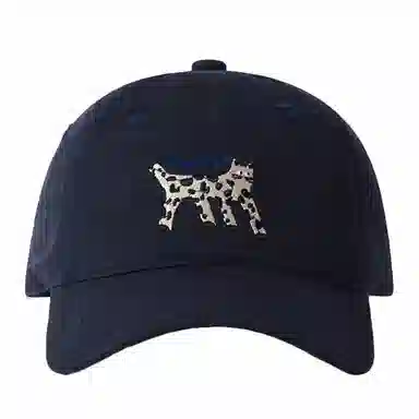 ZKY Baseball Cap