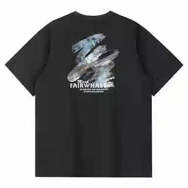FAIRWHALE T