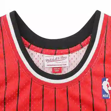 Mitchell Ness SW 95-96 33