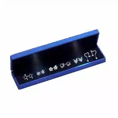 缔晶 精致时尚日韩甜美风耳饰套装 森系小清新日常搭配饰品礼盒 合金 耳钉 女款