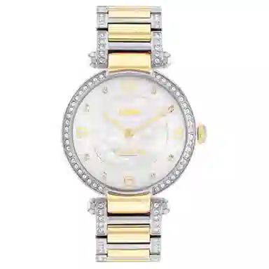 COACHCARY 34mm 30 14503833