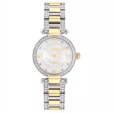 COACHCary 28mm 14503840