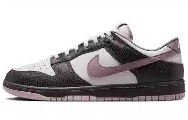 Nike Dunk LOW SE TCO ins