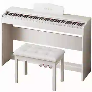 BETSY B313() Betsy B313(