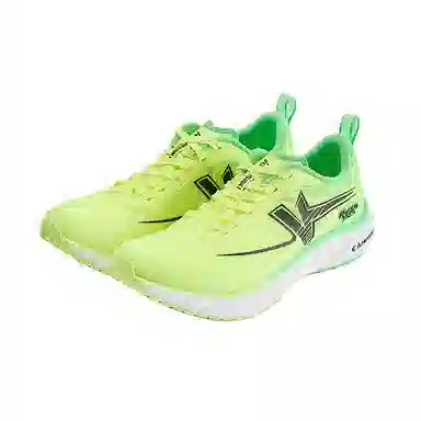 Kawasaki Flying Yellow Series