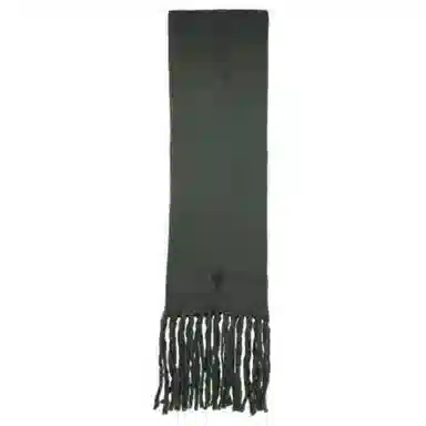 AMIPARIS Logo Fleece Scarf Green