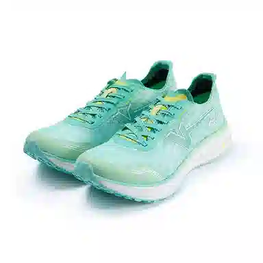 Kawasaki Feihu Series