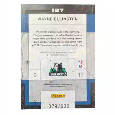 PANINI 2009 379630 RPA E