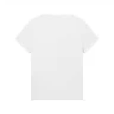 Hotwind T