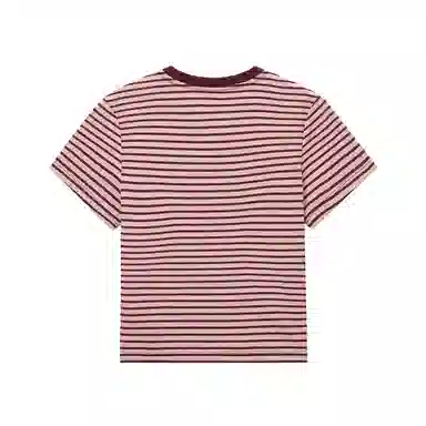 Hotwind T