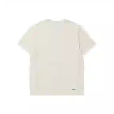 logo T DS