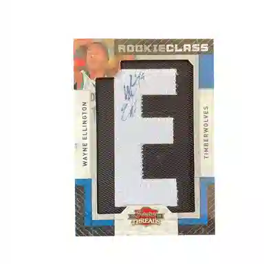 PANINI 2009 379630 RPA E