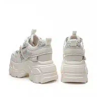 AQUASCUTUM
