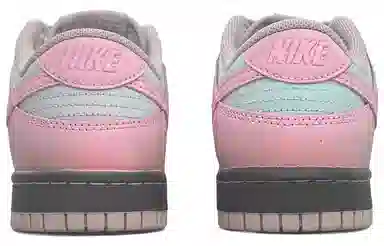 Nike Dunk LOW SE TCO ins