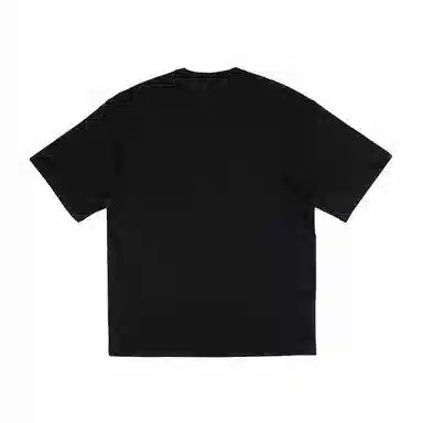 Dickies TDK0A88DW