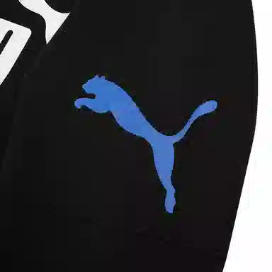 PUMA Power Colorblock Hoodie