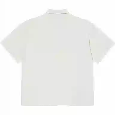 Polar Skate Co Tom Shirt Ice Grey