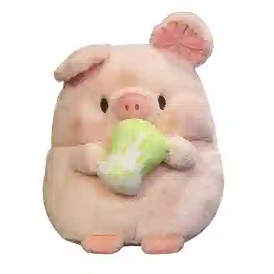 25cm30cm
