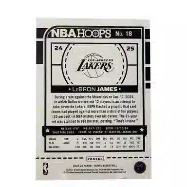 PANINI 2024-25 HOOPS