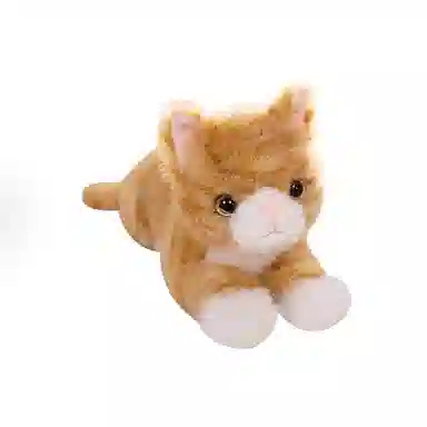 AECELI 40cm53cm