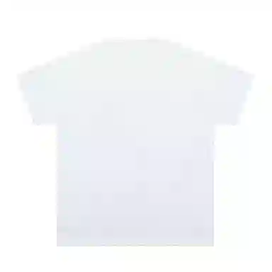 BLUELANDINC T