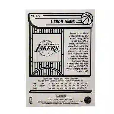 PANINI 2022-23 HOOPS
