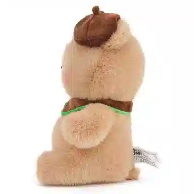 30cm