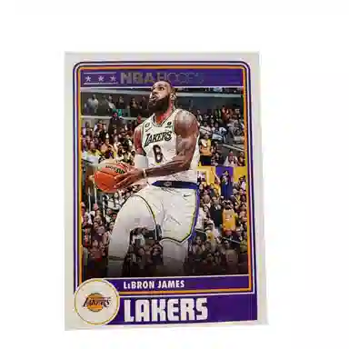 PANINI 2023-24 HOOPS