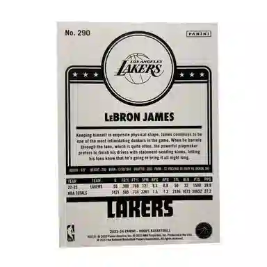 PANINI 2023-24 HOOPS