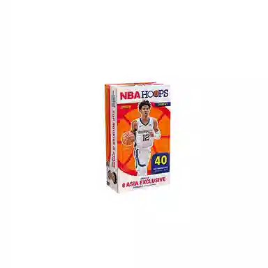 PANINI 20-21 Hoops NBA