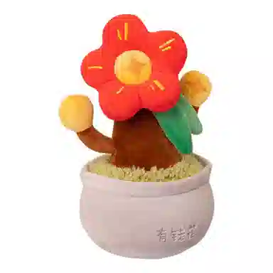 26cm