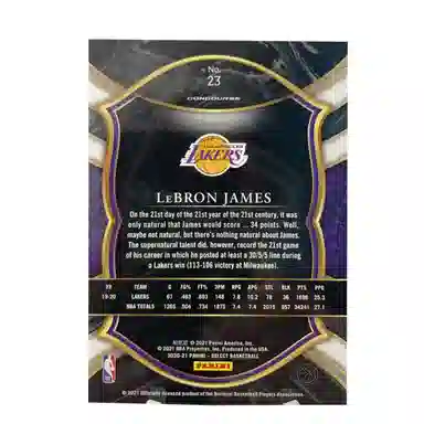 PANINI 2020-21 SELECT