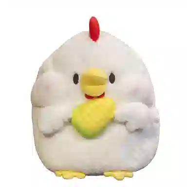25cm30cm