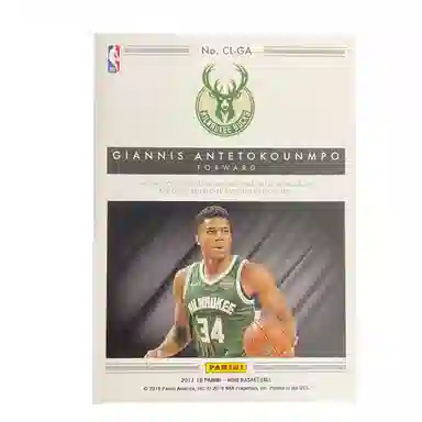 PANINI 2017-18 Noir1725patch