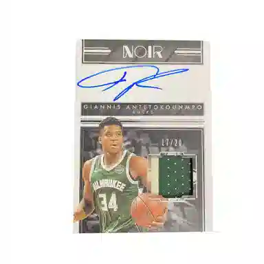 PANINI 2017-18 Noir1725patch