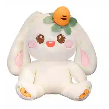 35cm55cm