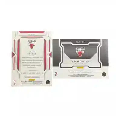 PANINI 2023-24patch 1325 2023NOIR99