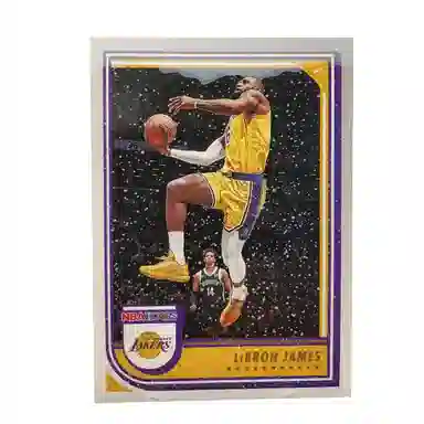 PANINI 2022-23 HOOPS
