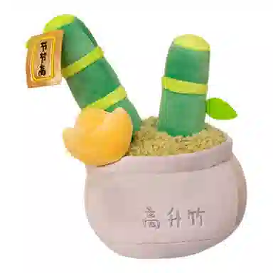 26cm