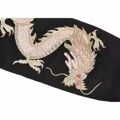 PALACE FW22 Double Dragon Tour Jacket Black