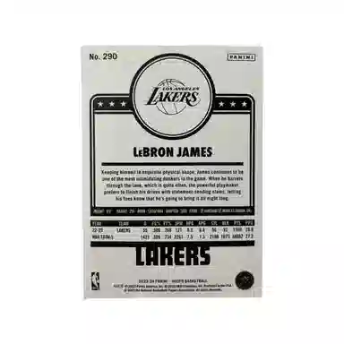 PANINI 2023-24 HOOPS