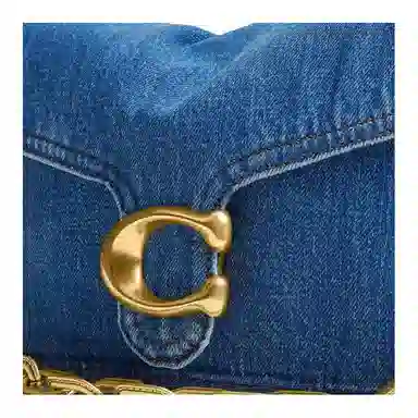 COACH Chain Tabby 26