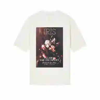 Palladium T