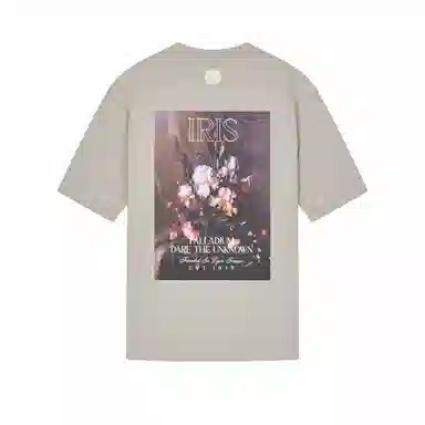 Palladium T